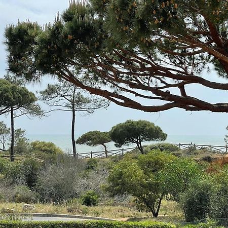 Praia Da Falesia Alfa Mar Albufeira Olhos de Agua  Dış mekan fotoğraf