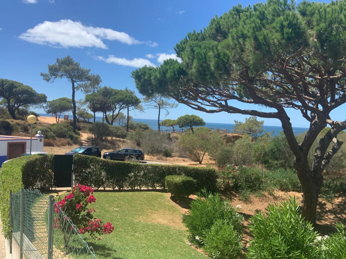 Praia Da Falesia Alfa Mar Albufeira Olhos de Agua  Dış mekan fotoğraf