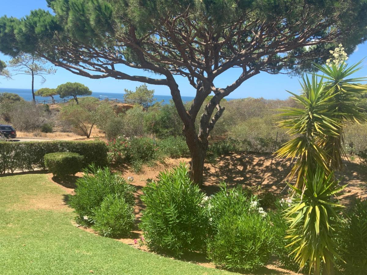 Praia Da Falesia Alfa Mar Albufeira Olhos de Agua  Dış mekan fotoğraf